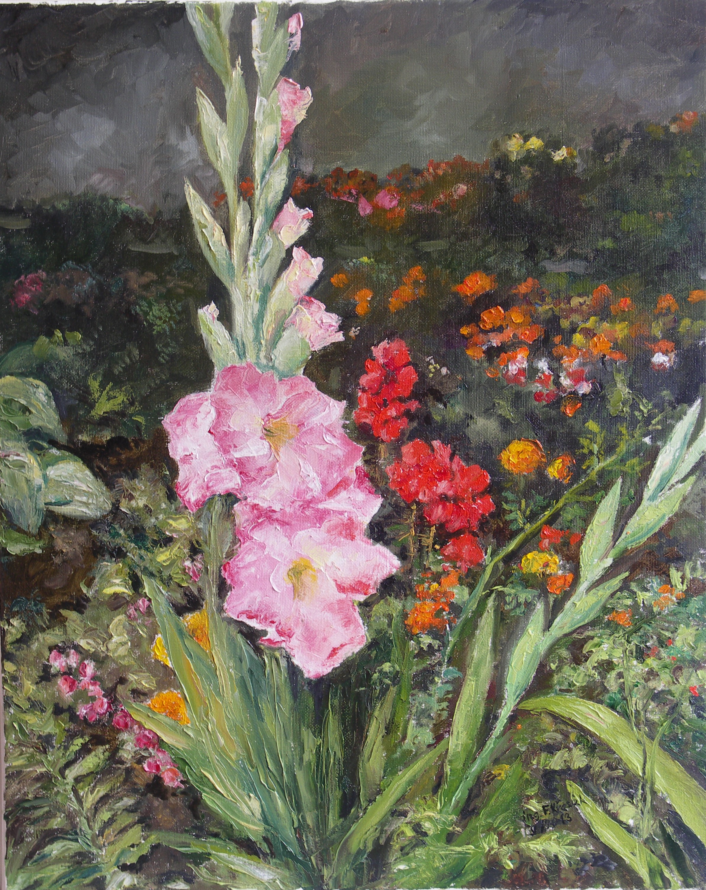 2013 Gladiola (motiv ze zahrádky) 40x50,olej plátno PICT2317 - kopie