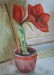 2017 Amarylis ("Royal Red"), (akvarel papír A3 (29x42)DSCN7704