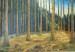 1986 Podzimní motiv v lese (Olej,lepenka 100x70)DSCN7806